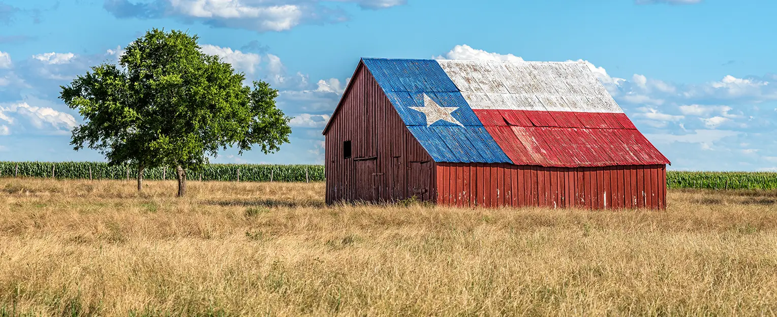 An abandoned old barn with the symbol of Texas painted on the roof sits in a rural area of the state, framed by farmland.
